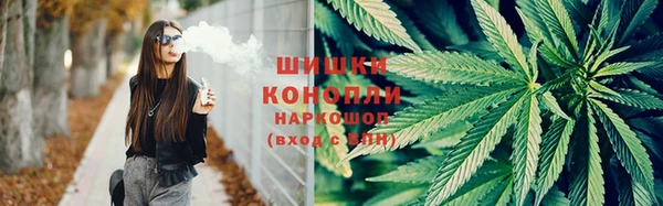 хмурый Сосновка