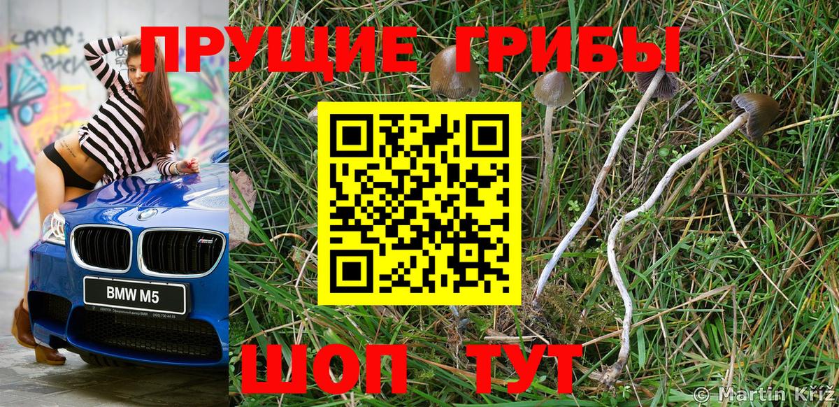 Галлюциногенные грибы мухоморы  Вход с VPN  Грязи  Галлюциногенные грибы GOLDEN TEACHER 