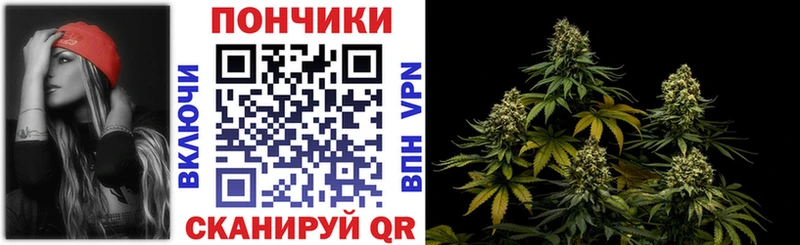 Каннабис план  где найти наркотики  Грязи 